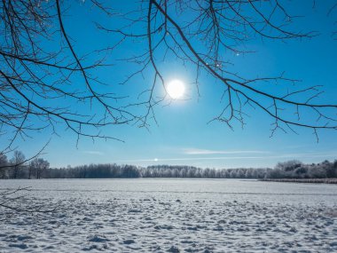 Braunschweig, Aşağı Saksonya, Almanya 'da kış manzarası. Güneşli bir günde güzel kar Westpark 'ı kapladı.