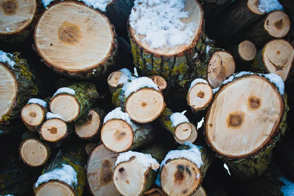 Legna Impilata Mucchio Tronchi Ricoperti Neve Tronchi Albero Nella Foresta — Foto Stock