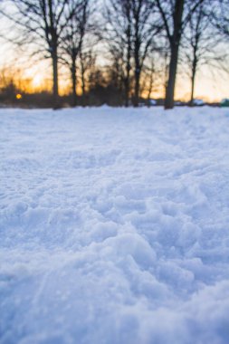 Braunschweig 'deki şehir parkında kar yağışı vardı. Gün batımında güzel kış manzarası.