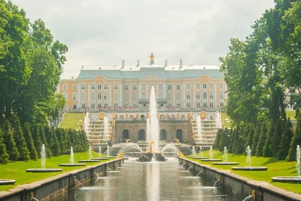 Kašna v peterhof Stock Snímky