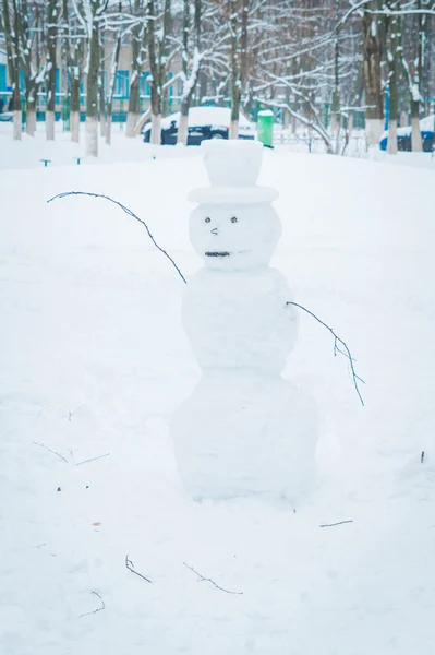 雪人做的雪 — 图库照片