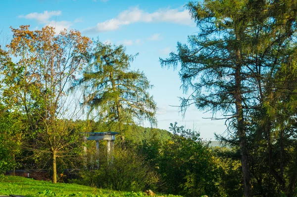 Estate Moscow Arkhangelsk yakınında