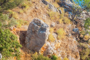 kayaların üzerinde çim