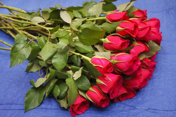 Bouquet Roses Rouges Sur Fond Bleu — Photo