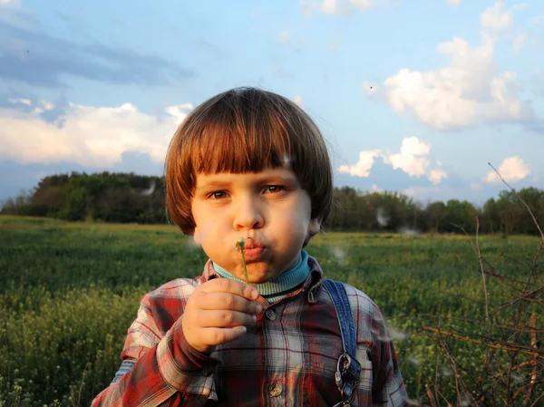 Little boy blowing dandelion on blue sky background. — Stock Photo, Image