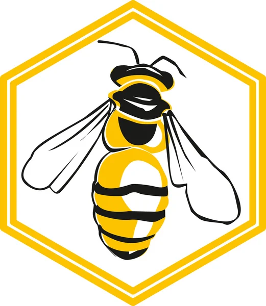 Vector de abeja y panal — Archivo Imágenes Vectoriales