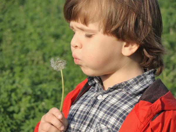 Beautiful little boy blowing dandelion. — Stock Photo, Image