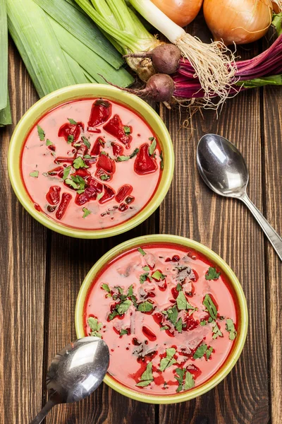 Буряковий суп зі свіжими овочами в мисці — стокове фото