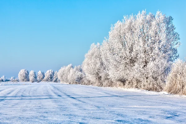 Winter landscape snow-covered fields — Stock Photo, Image