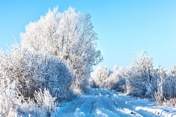 Estrada do campo através do campo de inverno — Fotografia de Stock