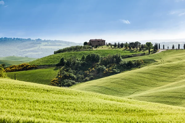 Paisaje de primavera de campos Toscana, Italia — Foto de Stock