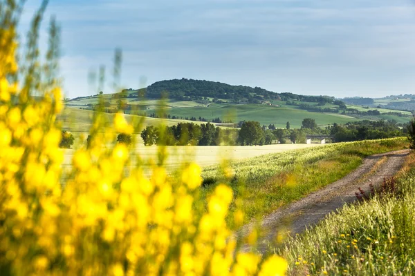 Jarní krajina polí, Toskánsko, Itálie — Stock fotografie