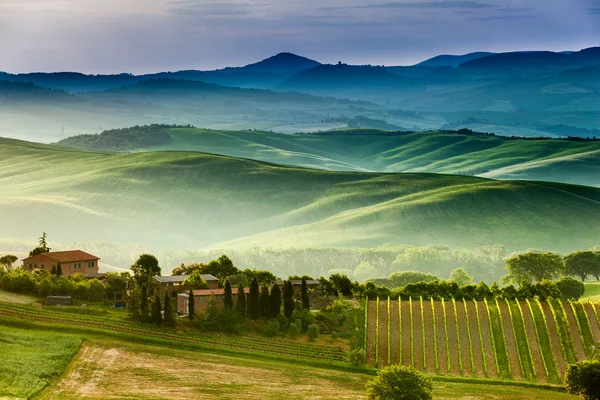 Fairytale landskap av Tuscany fält på sunrise — Stockfoto