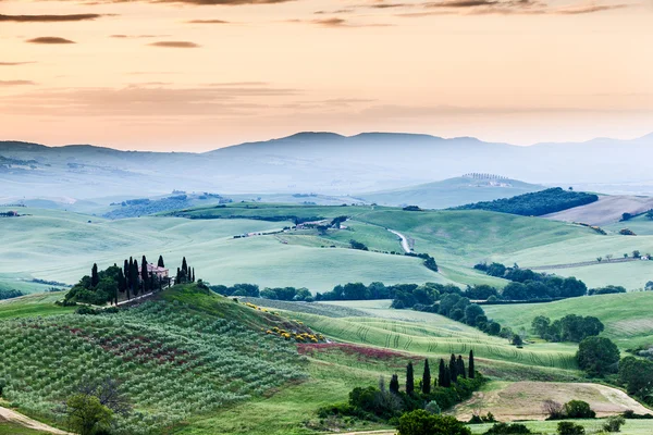 El paisaje de cuento de hadas de los campos de Toscana al amanecer — Foto de Stock