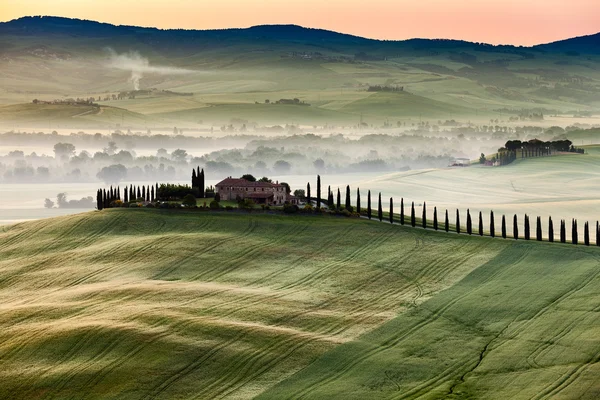 Fairytale landskap av Tuscany fält på sunrise — Stockfoto