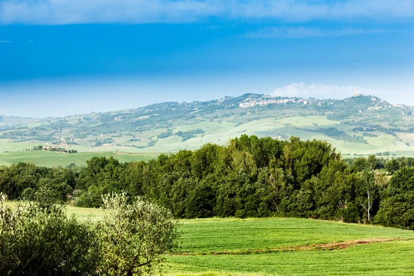 Paisaje de primavera de campos Toscana, Italia —  Fotos de Stock