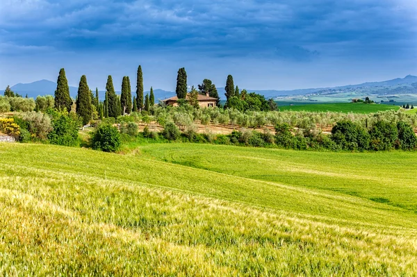 Paisaje de primavera de campos Toscana — Foto de Stock