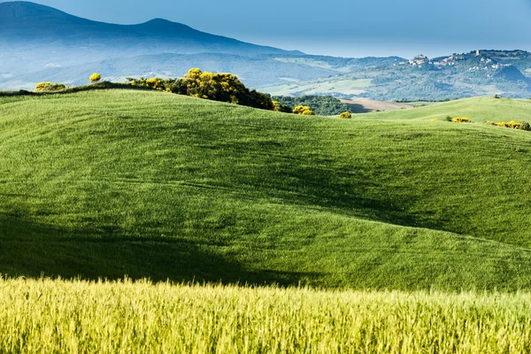 Paisaje de primavera de campos Toscana, Italia — Foto de Stock