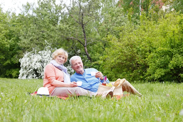 Pareja mayor bebiendo té — Foto de Stock