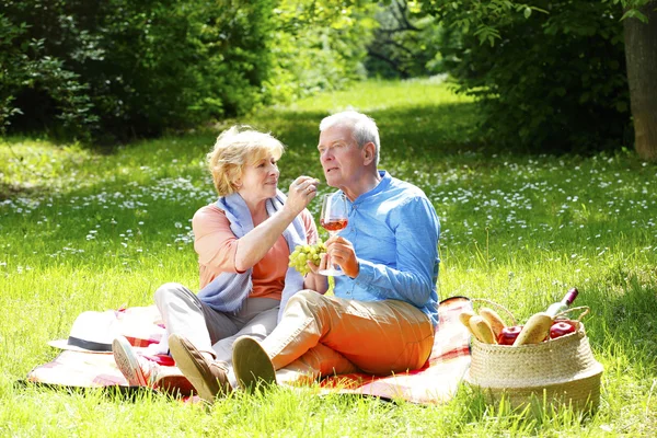 Charmant couple sénior relaxant en plein air — Photo