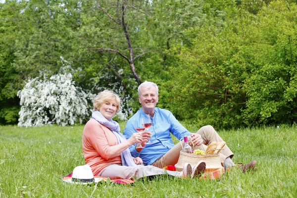 Yaşlı çift piknik yapıyor. — Stok fotoğraf