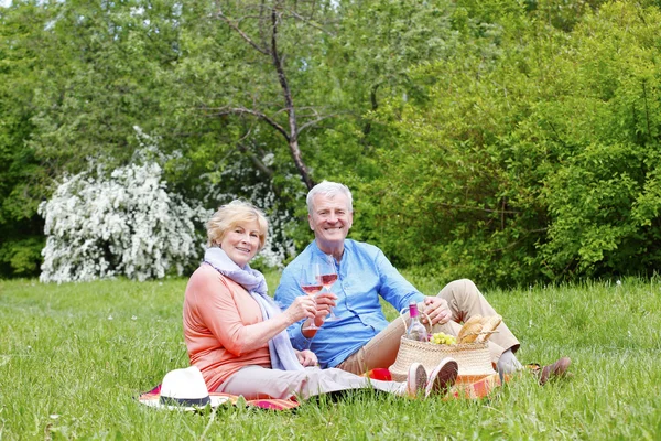 Senior coppia avendo pic-nic — Foto Stock