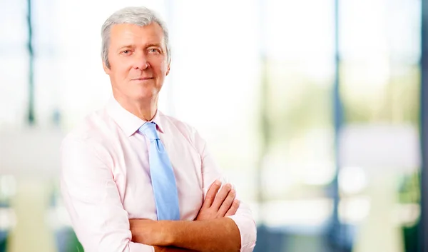 Portrait of senior businessman wearing shirt and tie while standing with arms crossed.