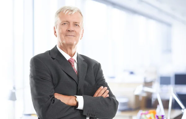 Executive senior businessman — Stock Photo, Image