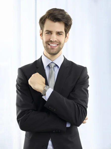 Uitvoerend zakenman — Stockfoto