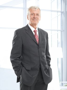 Executive iş adamı 