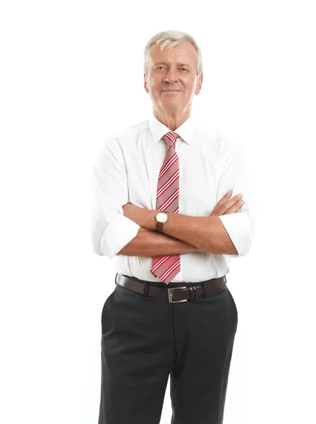 Senior businessman portrait — Stock Photo, Image