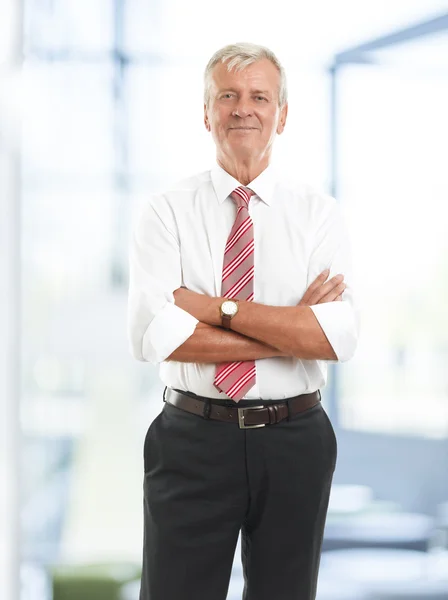 Senior businessman portrait — Stock Photo, Image