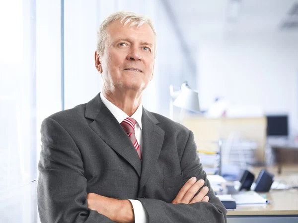 Porträt eines leitenden Geschäftsmannes — Stockfoto