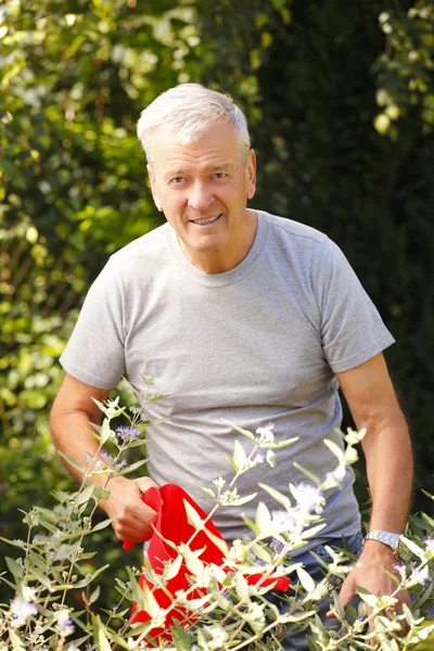 Senior man portrait — Stock Photo, Image