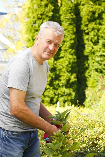 Seniorenporträt — Stockfoto