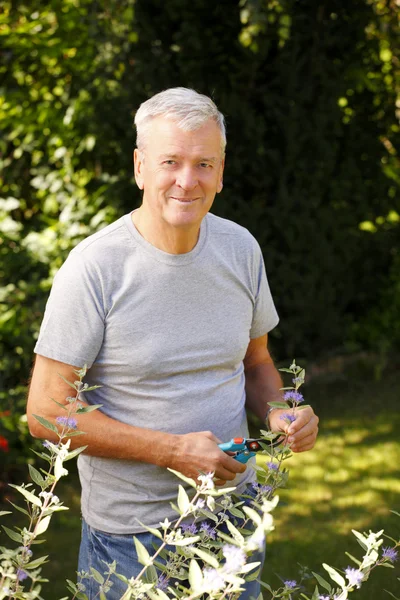 Retired old man portrait — Stock Photo, Image