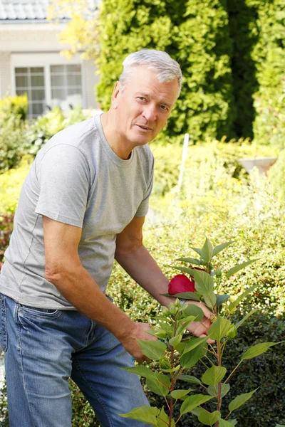 Retrato de hombre joven —  Fotos de Stock