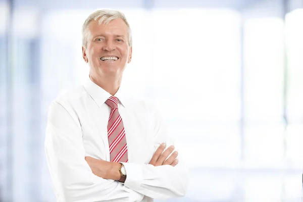 Senior businessman portrait — Stock Photo, Image