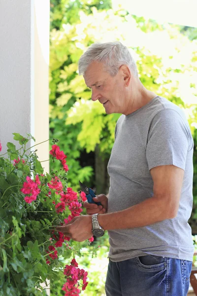 Old man portrait — Stock Photo, Image