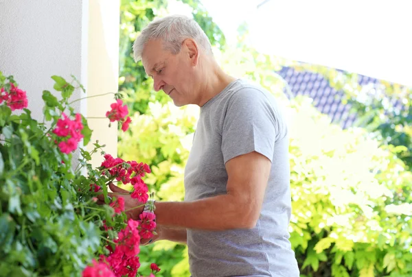 Old man portrait — Stock Photo, Image