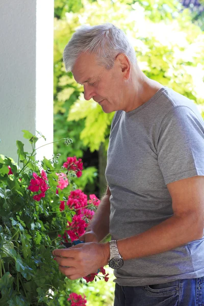 Oude man portret — Stockfoto