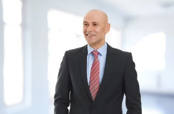 Financial director standing at office — Stockfoto