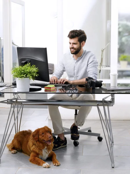 Direttore artistico che lavora in luoghi di lavoro pet-friendly — Foto Stock