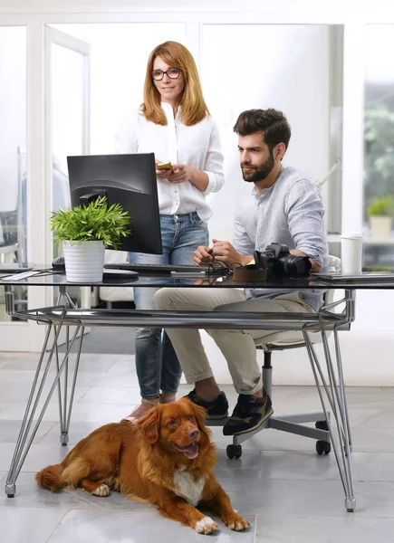 Director de arte que trabaja en un lugar de trabajo adecuado para mascotas — Foto de Stock