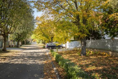 Ağaçlar renkli sonbahar yapraklarıyla kaplı.