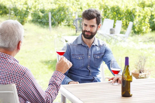 Winemakers sitting at desk and consulting — Stock Fotó