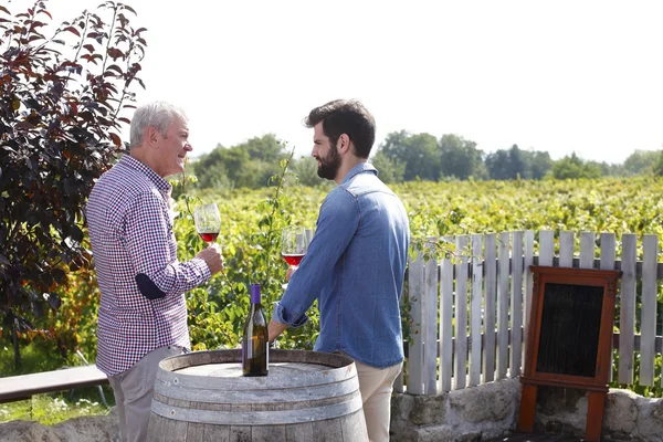 Winzer verkosten Rotwein im Weinberg — Stockfoto