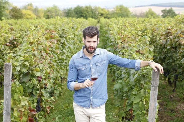 Vigneron au vignoble dégustation verre de vin rouge — Photo