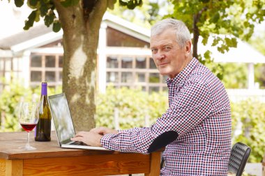 Winemaker bağ laptop önünde