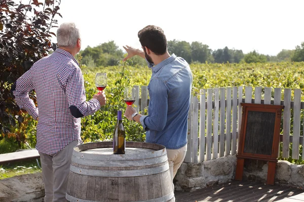 Wein testen — Stockfoto